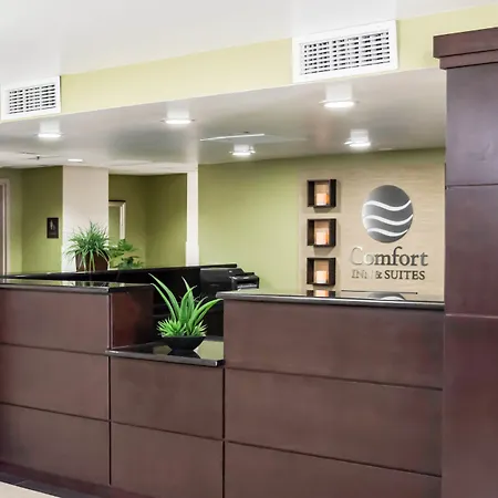 Comfort Inn & Suites St Pete - Clearwater International Airport-3